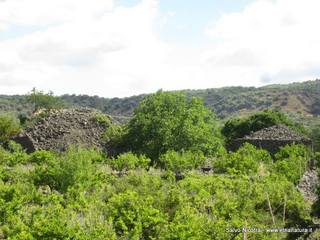 ndolito-11-06-2014 07-40-41